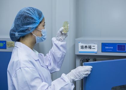 Lubricant Quality Inspection Process